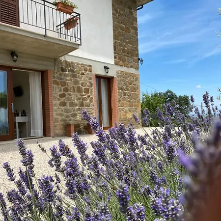 Podere Belsogno-camera Lavanda Gasthof Montalcino